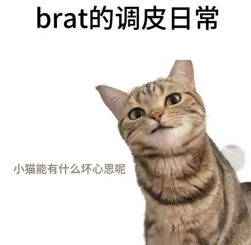 西檬之家字母圈中的Dom角色解析与入门指南 一