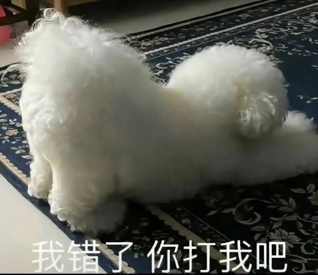 西檬之家字母圈Dirty Talk是什么 一