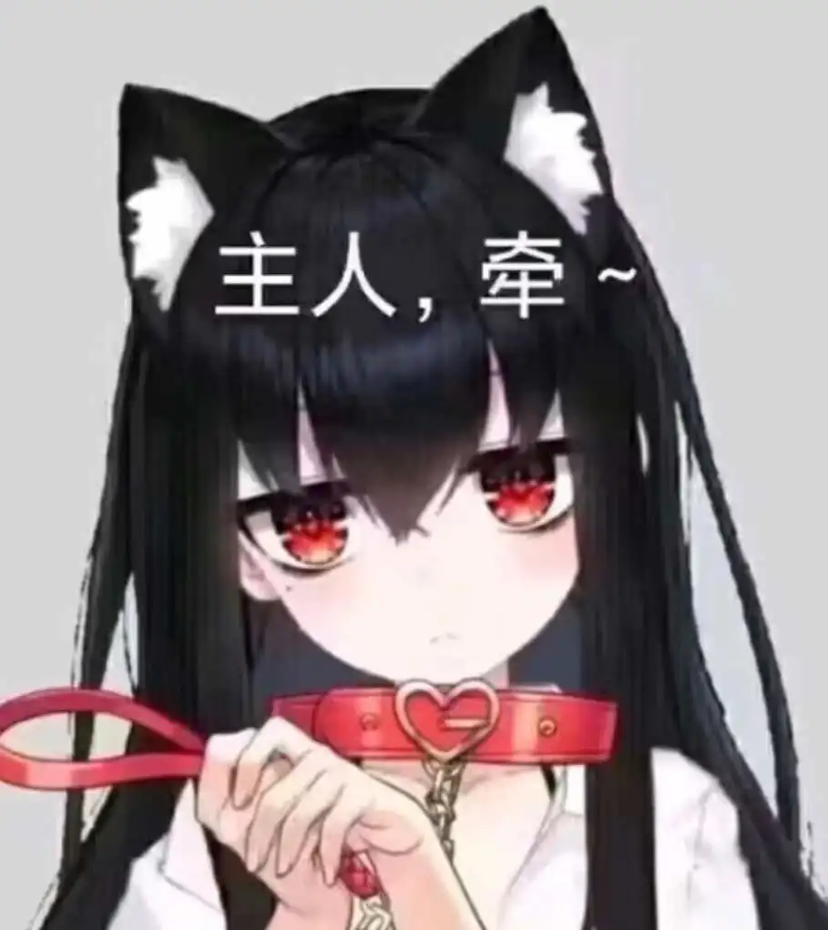 西檬之家字母圈S属性是什么意思? 一