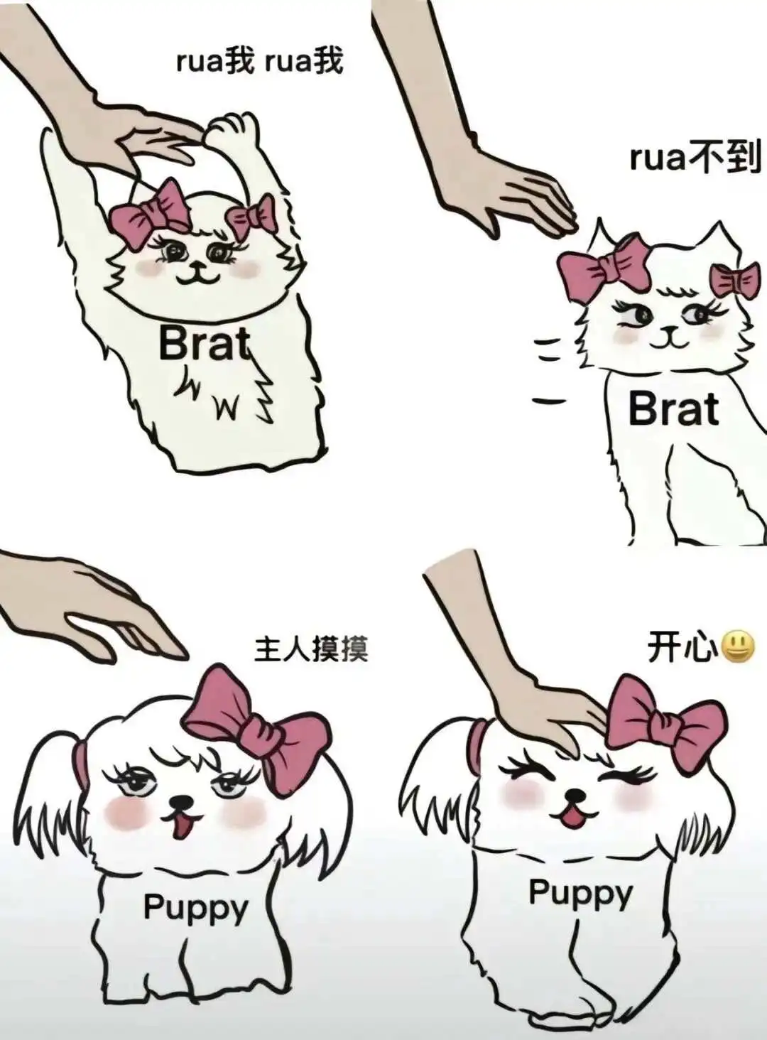 西檬之家字母圈m倾向是什么意思? 一