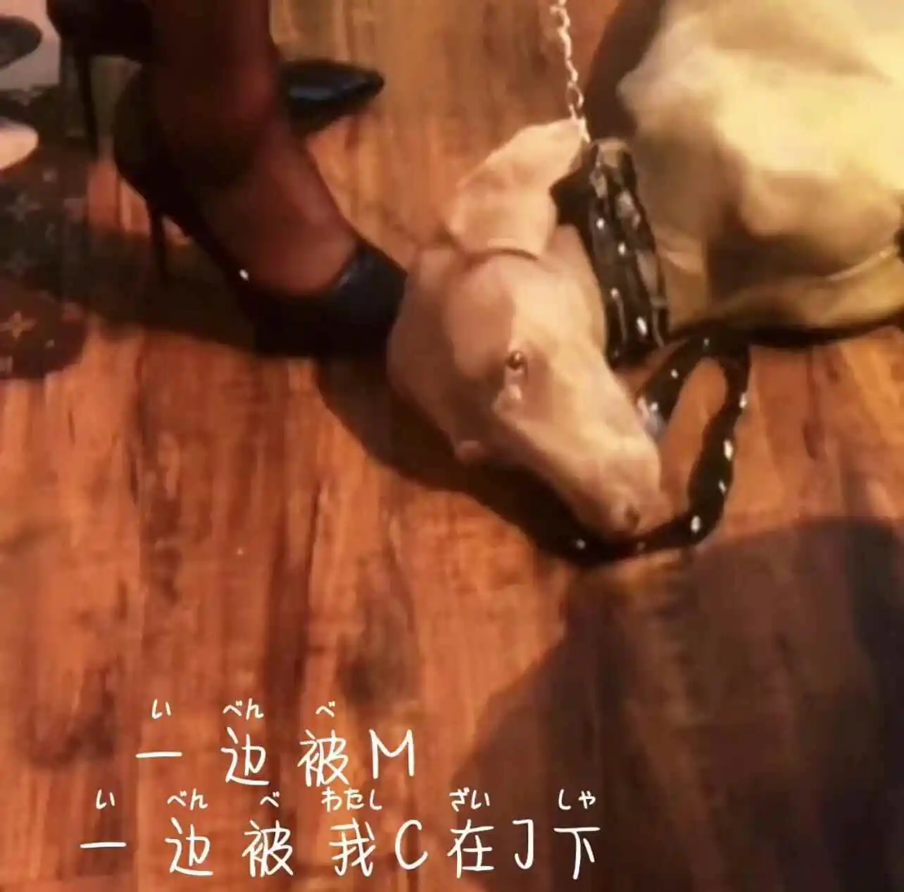西檬之家BDSM怎么玩?字母圈新人入圈 一