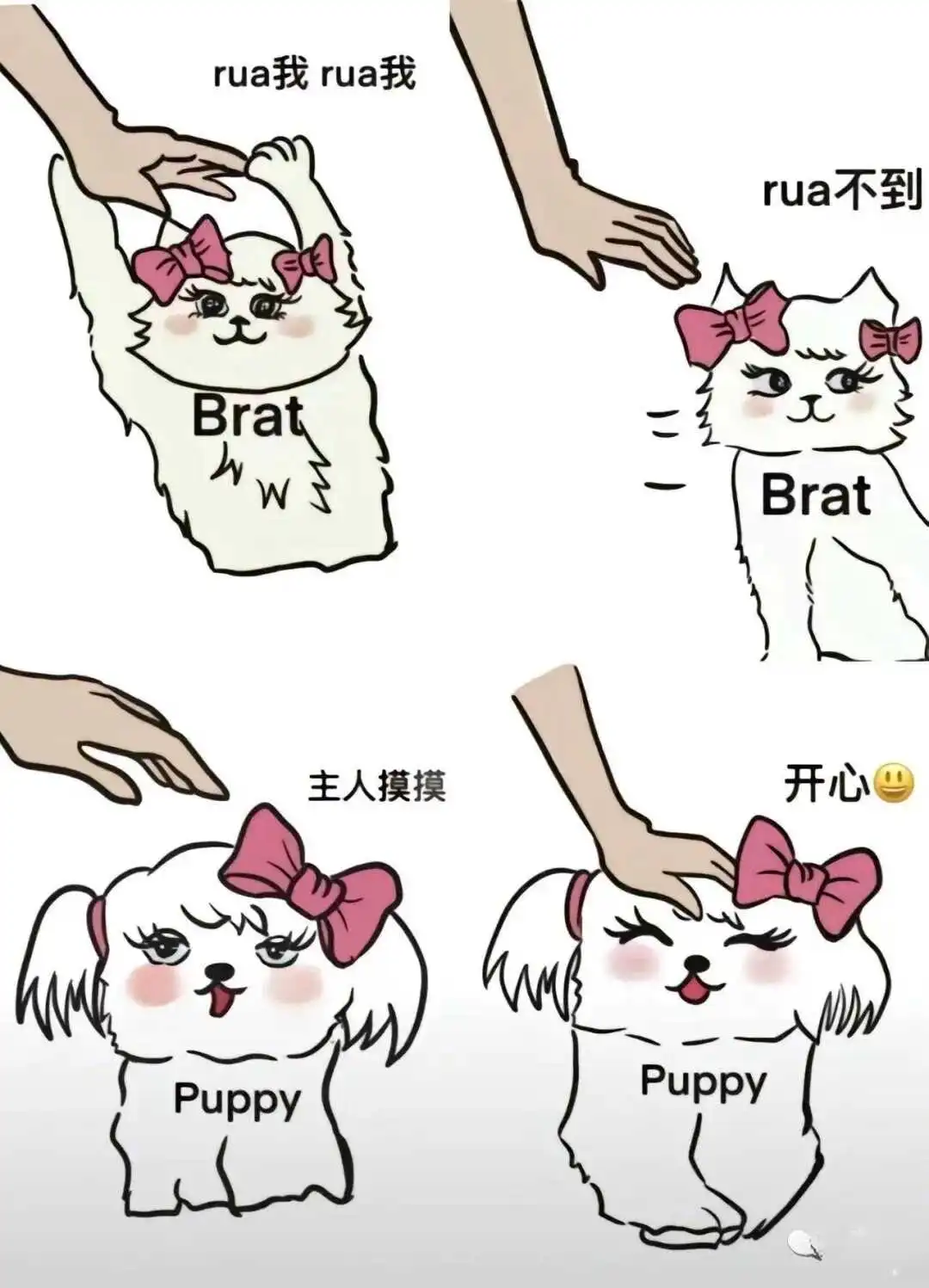 西檬之家恋足癖怎么破?字母圈新人入圈 一