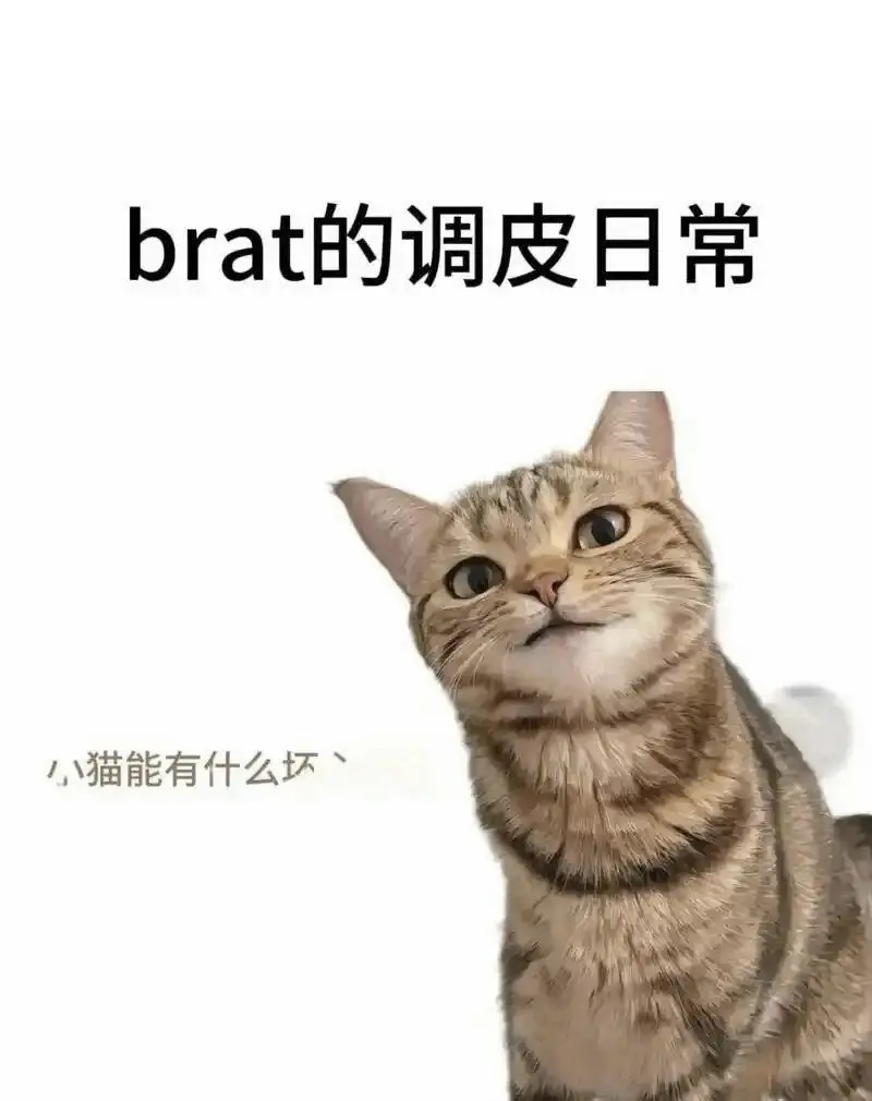 西檬之家sp小圈是什么?新人入圈指南 一