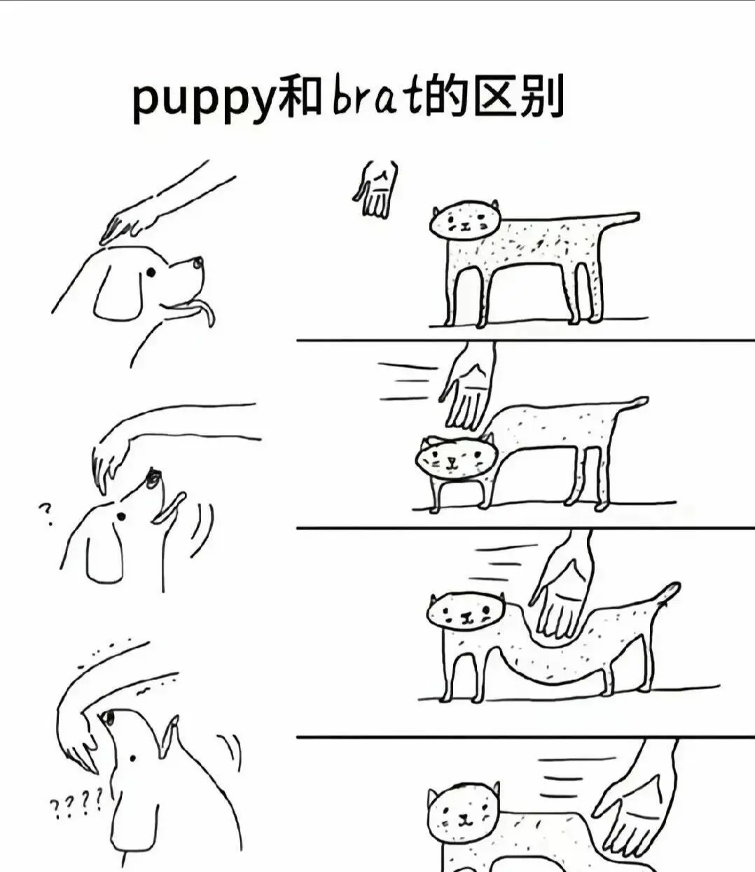 西檬之家sp小圈新人必读指南 一
